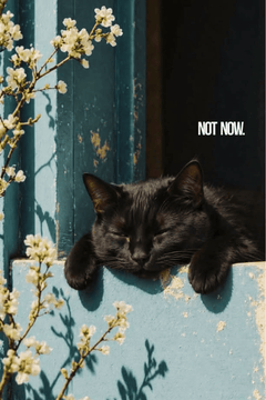 NOT NOW. - MAUHK