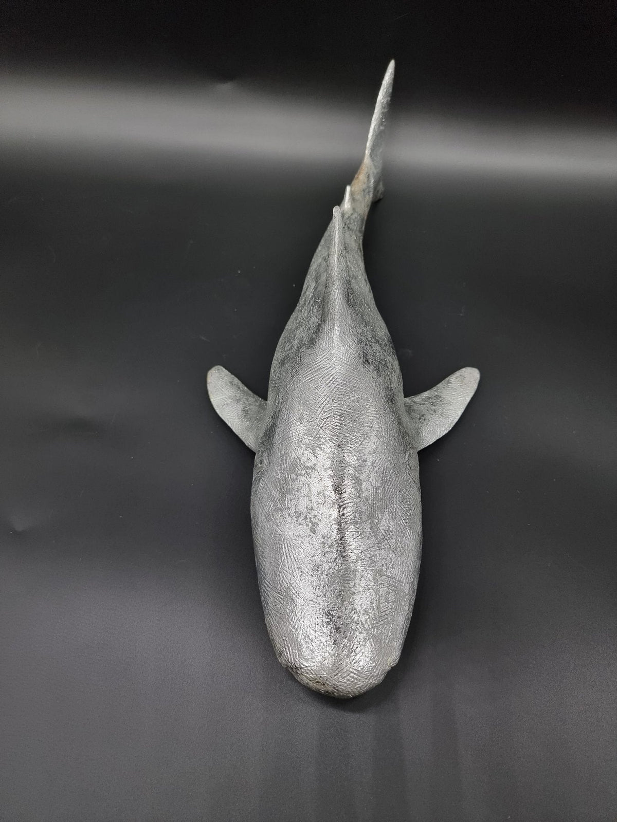 SILVER SHARK — Sculptural Object - MAUHK